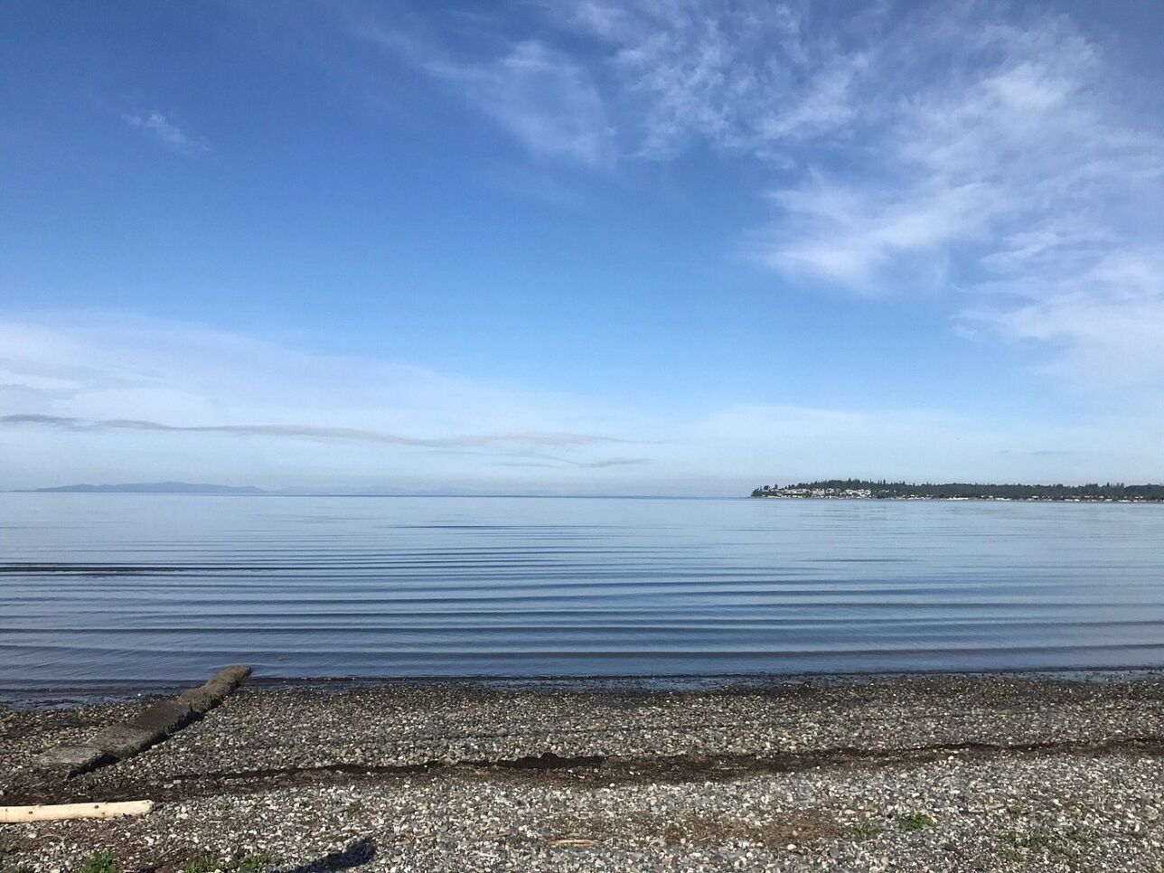A calm waterfront with a pebbled beach and a distant shoreline.
