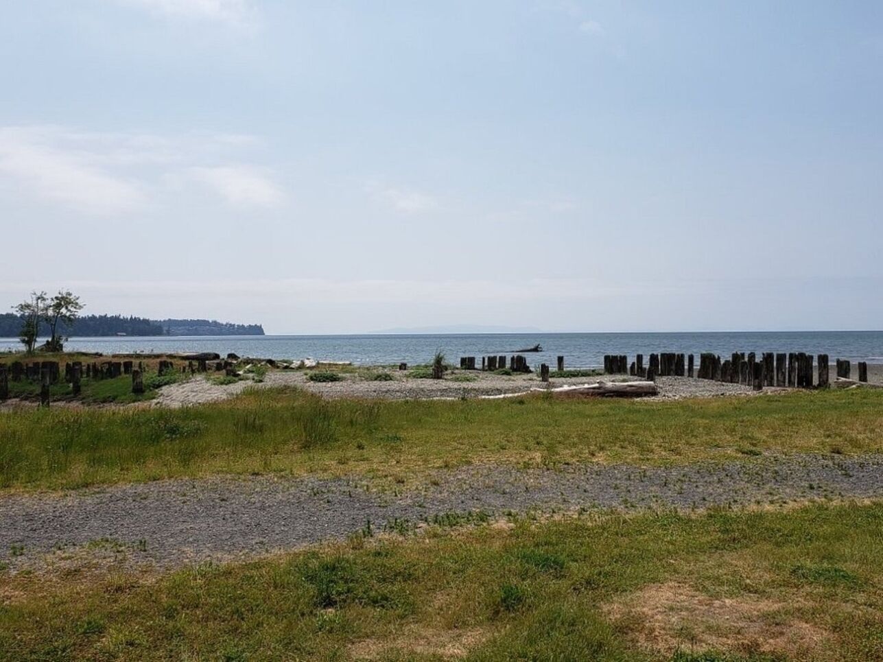 Un paysage côtier avec une partie avant herbeuse, une plage rocheuse et des structures en bois.