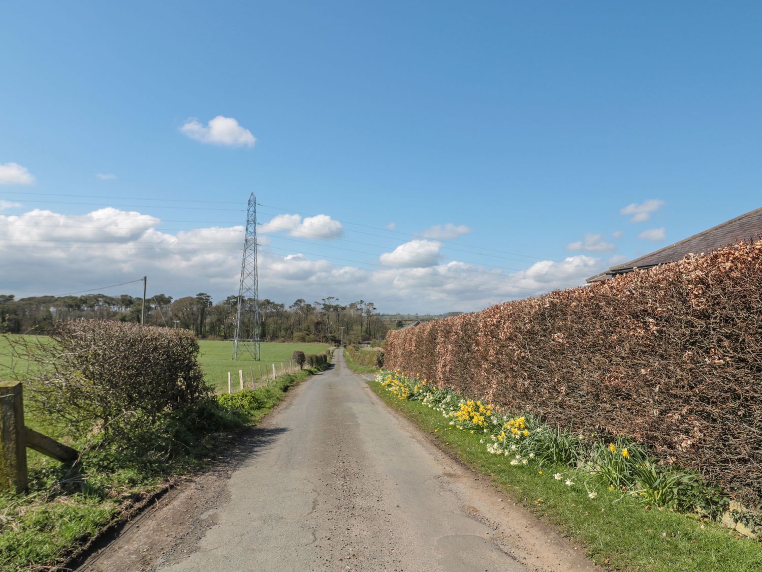 A rural road flanked by hedges and fields, with a power line tower visible.