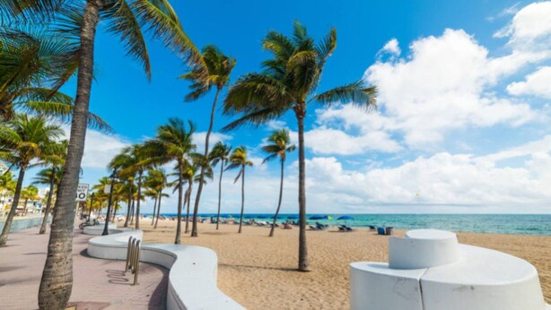 A beach with palm trees, a curved white structure, and the ocean in the background. - Lux 3BD House, 5 Min To Holly Cross, HCA Hospital&Beaches (Oakland Park)