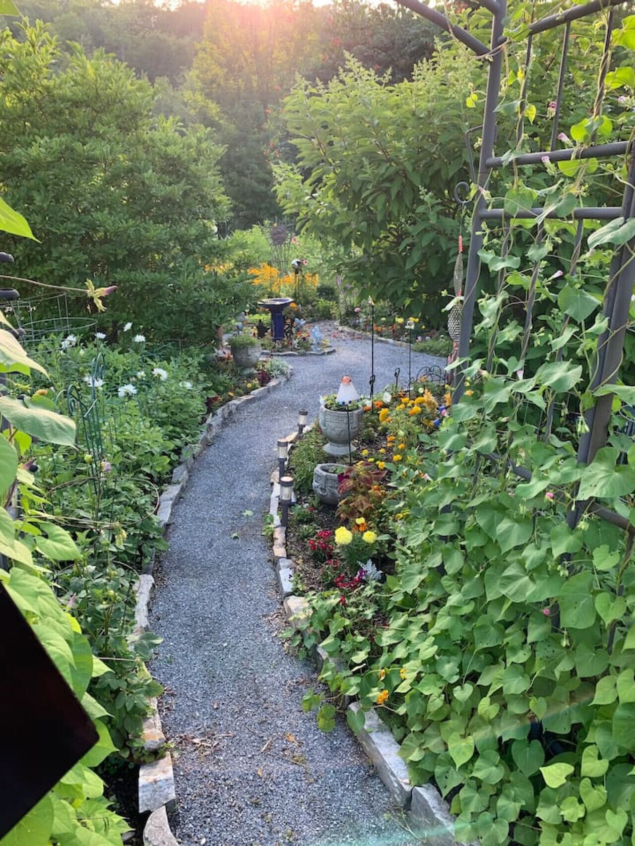 Área da propriedade