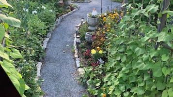 Área da propriedade