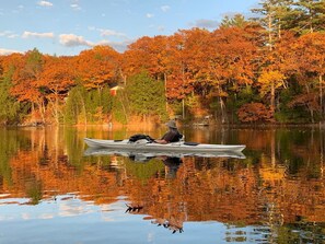 星評価なしの画像、4 / 70、ボタン
