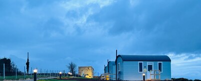 The Dozy Donkey Shepherd Hut & Sauna Farm Stay