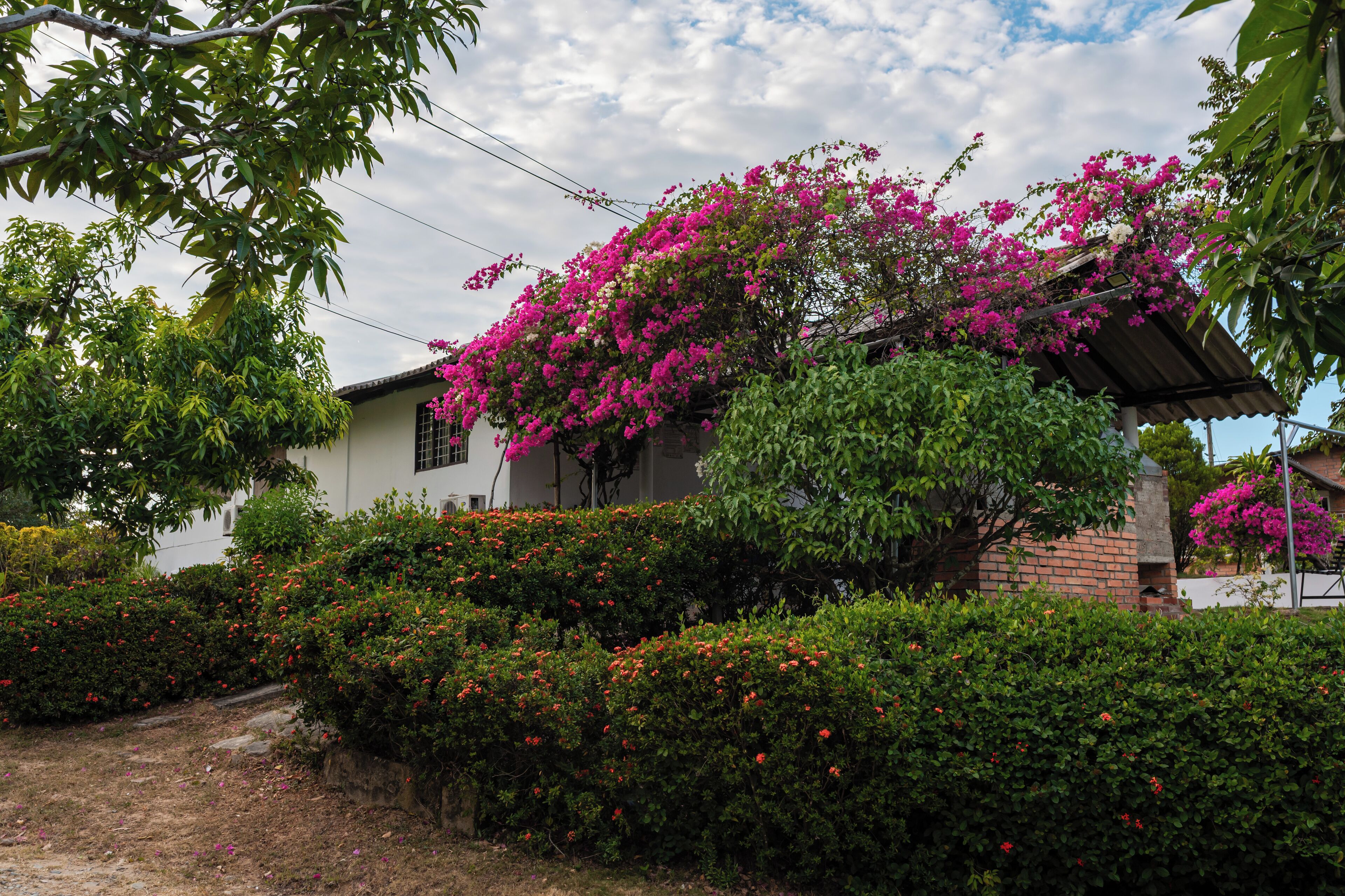 Enceinte de l’hébergement