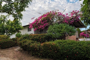 A residential area with a white house, a brick wall, and a garden with pink and red flowering plants. - Private 2-bedroom farmhouse in Santa Marta with stunning views. (Santa Marta)