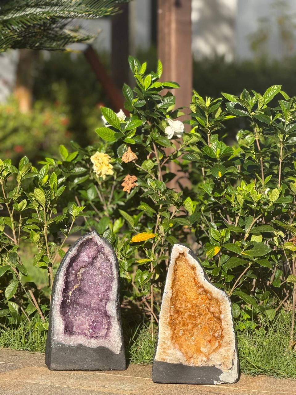 Two geodes with a natural background.