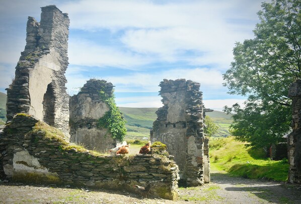 Ancient stone ruins with overgrown vegetation, set against a backdrop of rolling hills and a clear sky.