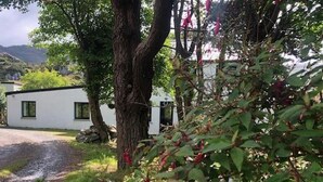 A white building with a gravel driveway and a tree in the foreground. - Mountain Retreat situated amongst the ruins of the old miners village (Allihies)