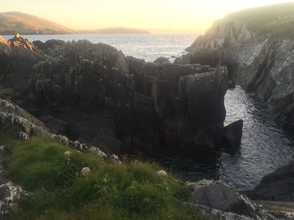 Botón de imagen sin clasificar, 1 de 14