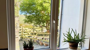A window with a view of a wooden fence and a garden. - Mountain Retreat situated amongst the ruins of the old miners village (Allihies)