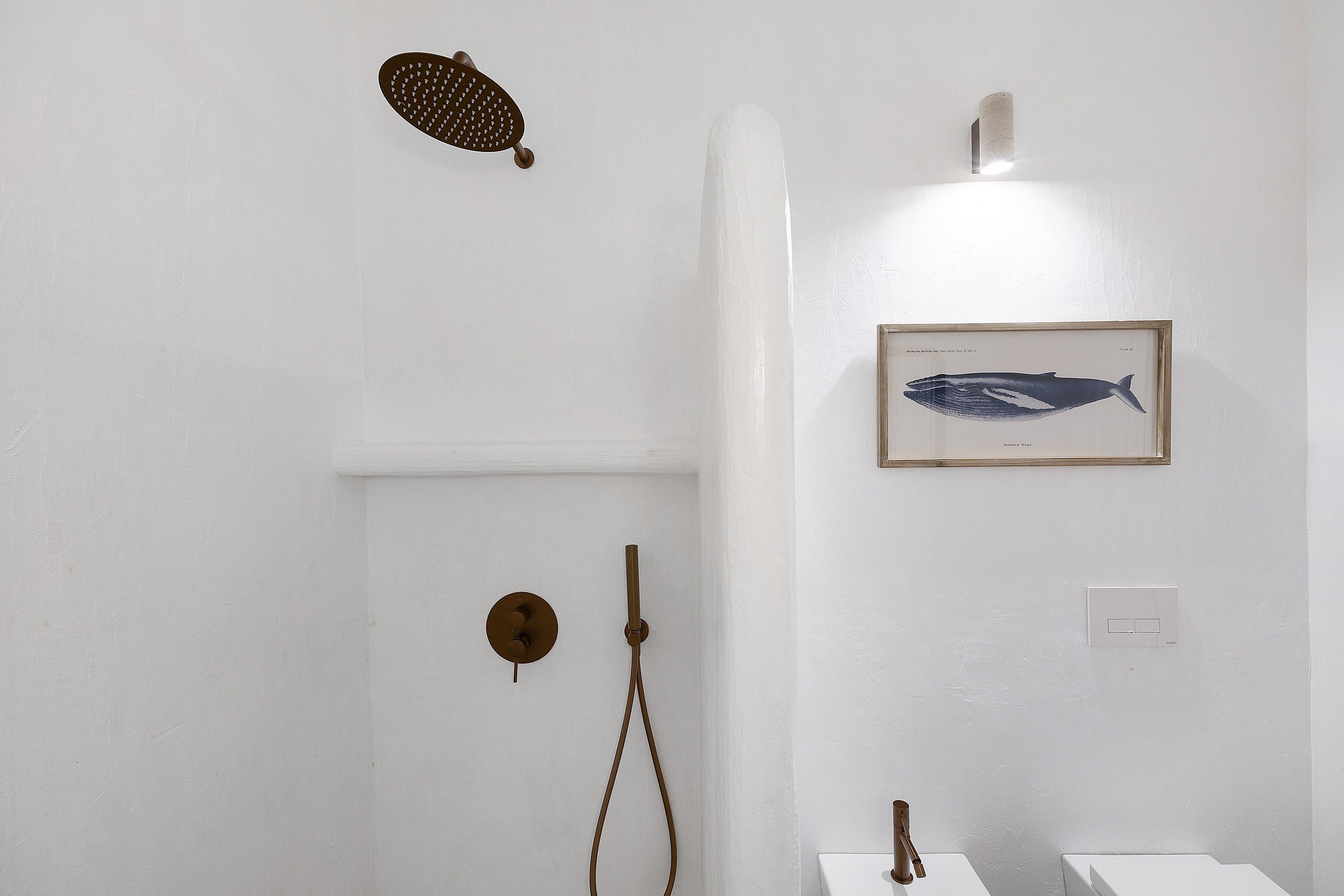 A bathroom with a shower, a framed fish illustration, and a light switch.