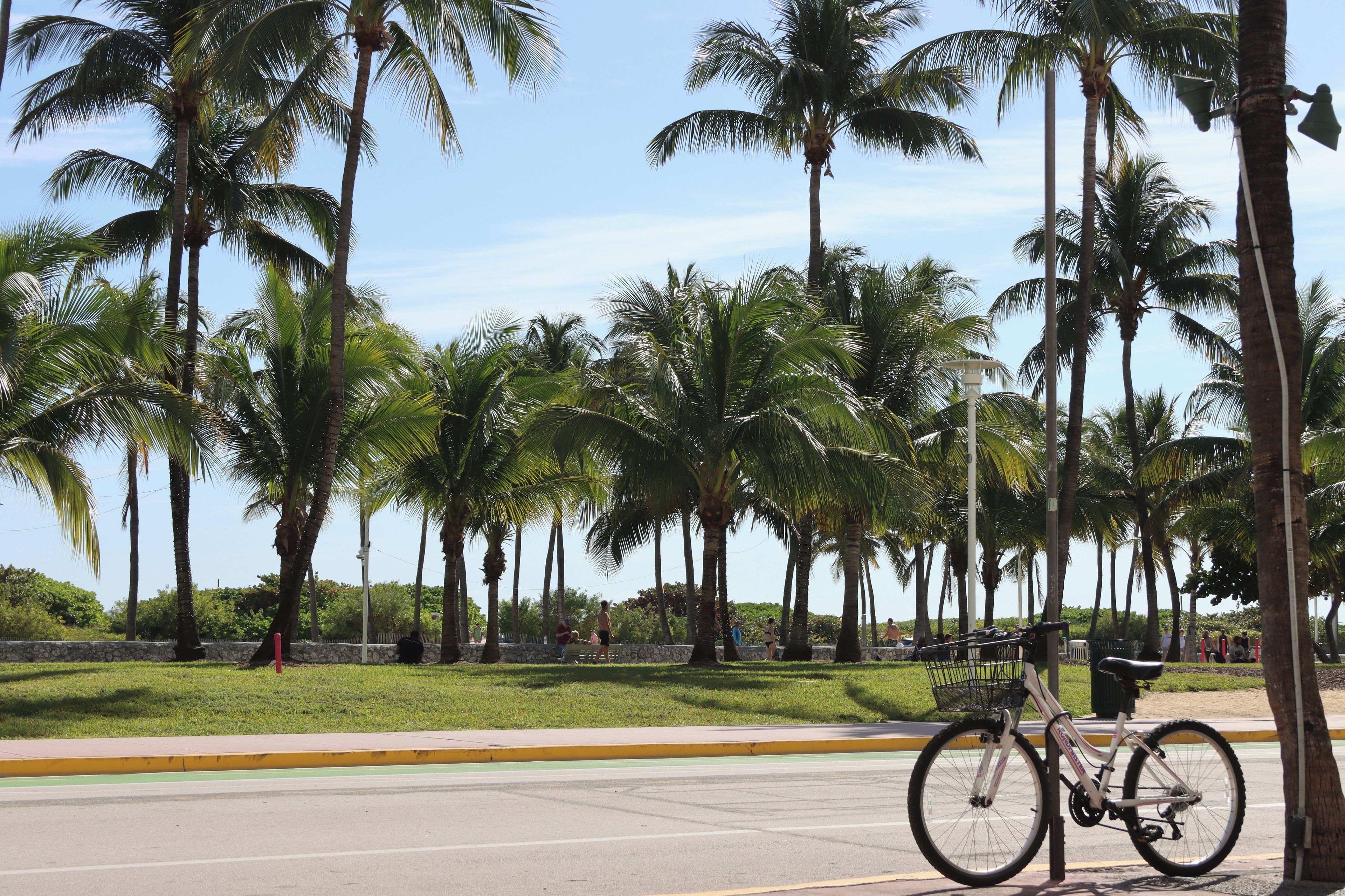 A bicycle parked by a sidewalk with palm trees in the background.
