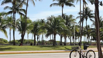 A bicycle parked by a sidewalk with palm trees in the background.