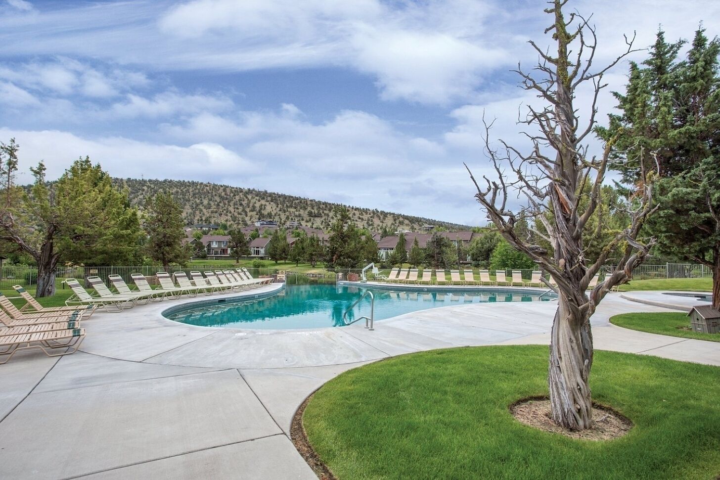 A swimming pool with lounge chairs and a tree in a residential area.