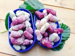 Immagine non classificata, 5 di 6, pulsante