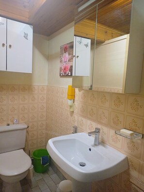 Shower, hair dryer - Charming Lakeside Apartment, Ground Floor with Parking and Wi-Fi (Beaumont-du-Lac)