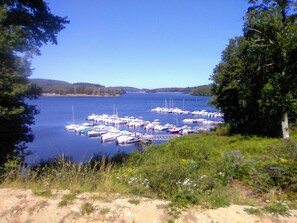 Uklassifisert bilde, 3 av 24, knapp