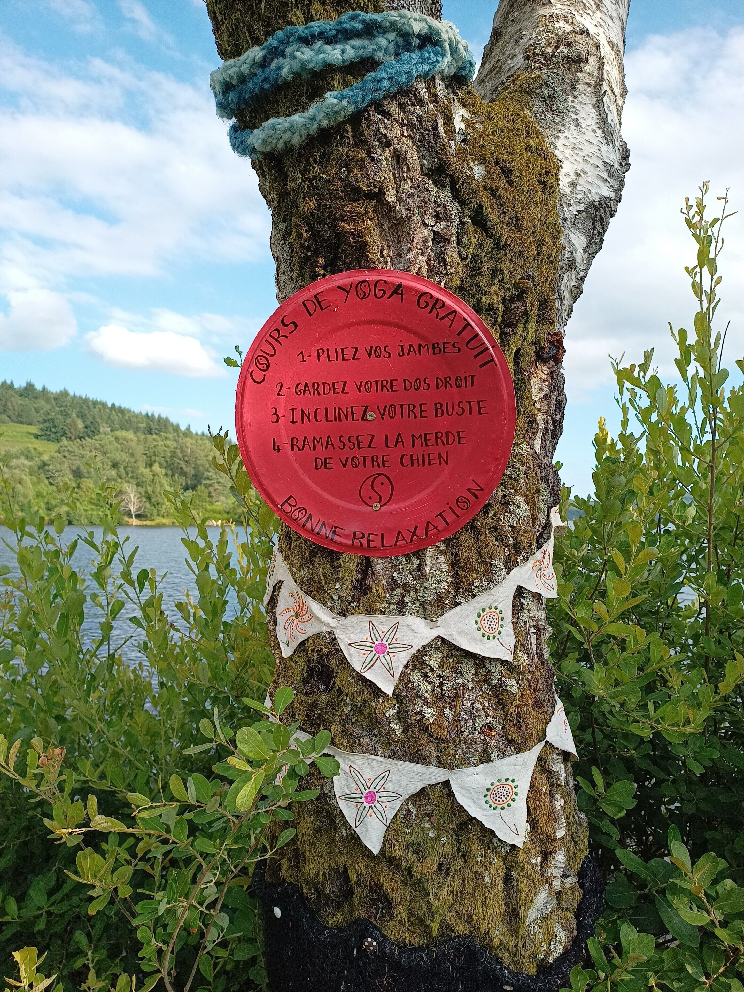 Un arbre auquel est fixée une pancarte rouge, entouré de verdure et avec un lac en arrière-plan.