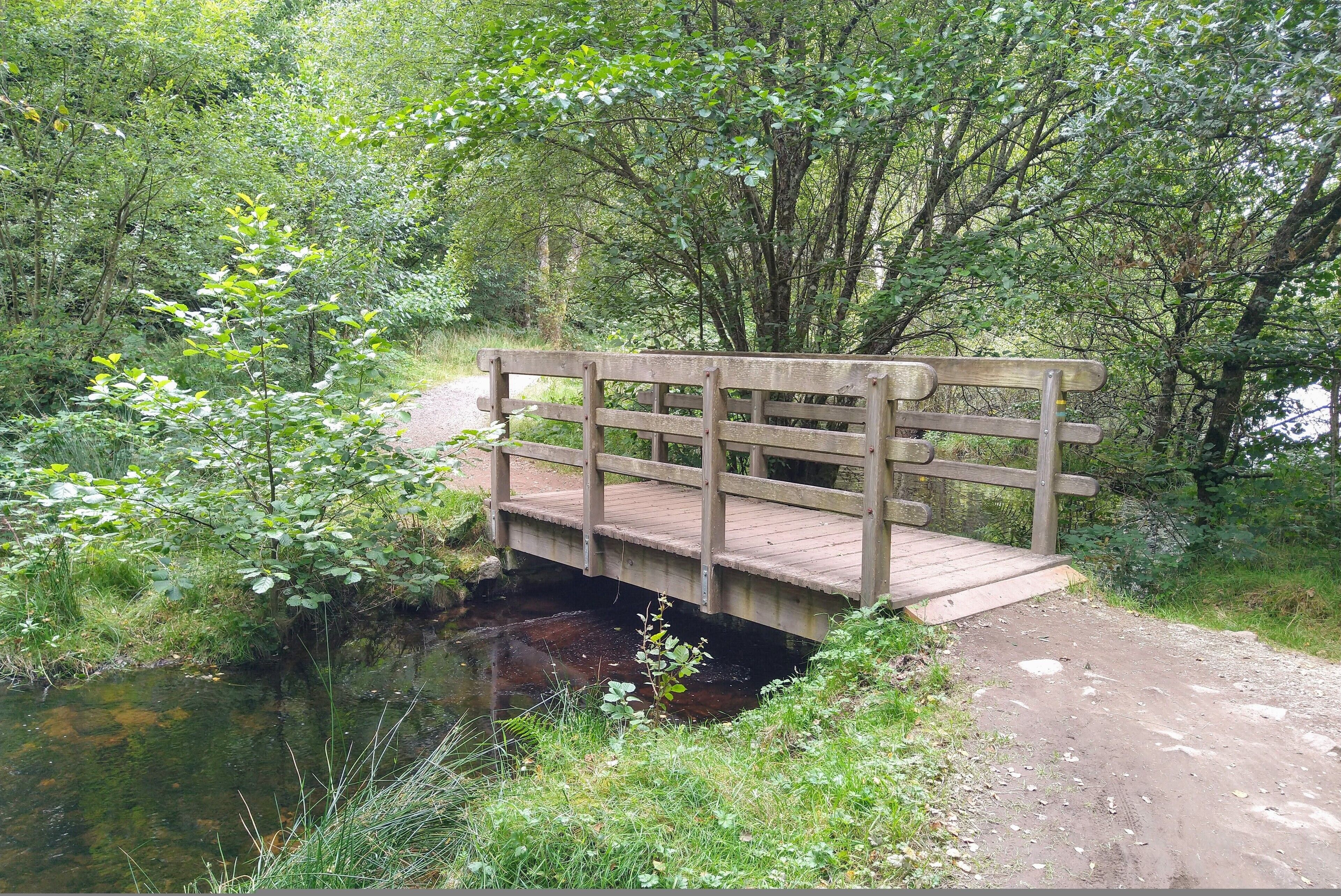 A wooden bridge over a stream in a wooded area.