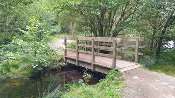 A wooden bridge over a stream in a wooded area.