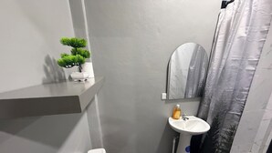 A bathroom with a toilet, sink, and a small potted plant on a shelf.