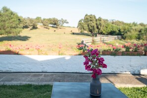 Property grounds - 'Chalet Las Pajanosas' with Private Pools and Grounds (Guillena)