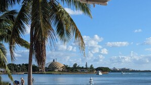 Ein Strand mit drei Kajaks, einer Palme und freiem Blick auf das Wasser.