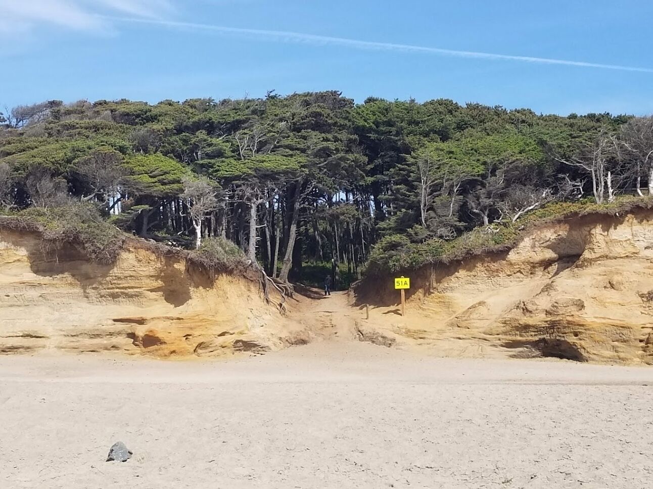 A sandy beach with a dirt path leading to a yellow sign.