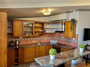 Fridge, microwave, oven, dishwasher - Central 3BR Oasis with Jetted Tub (Praha 1)