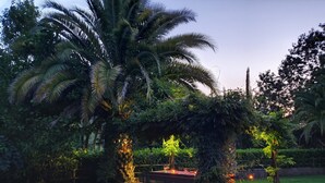 Un patio con mesa y sillas, rodeado de abundante vegetación y una palmera.