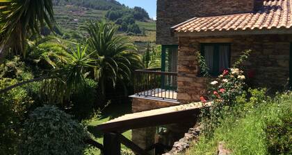 Country House 'Quinta Pé Franco' with Mountain View, Wi-Fi and Air Conditioning