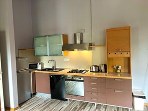 Fridge, microwave, stovetop, dishwasher - Prague Dragonfly Apartment (Prague 1)