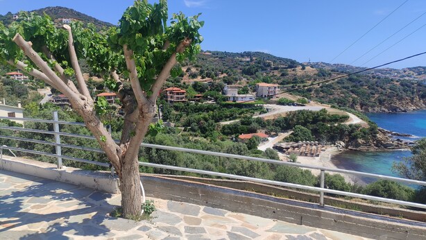 Ein mit Pflastersteinen belegter Bereich mit Baum, Metallgeländer und Blick auf eine Küstenstadt mit Gebäuden und Strand.