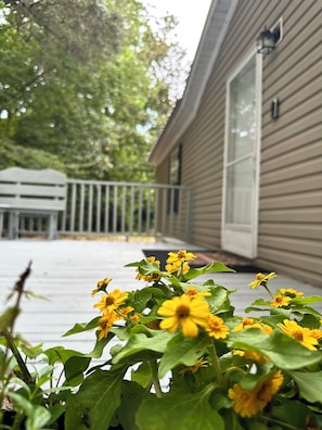 Ein Haus mit einer Veranda und einem Garten mit gelben Blumen.