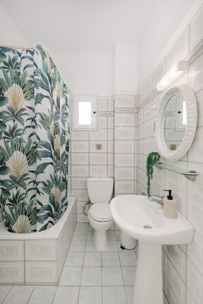 Hair dryer, towels, soap, toilet paper