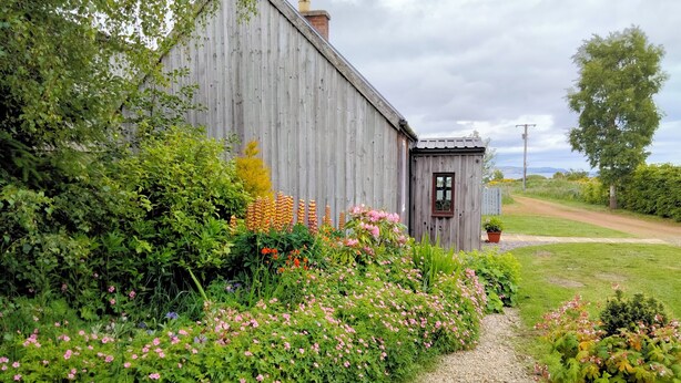 Een rustiek houten huis met een klein tuinhuisje, omgeven door weelderige begroeiing en bloeiende planten.