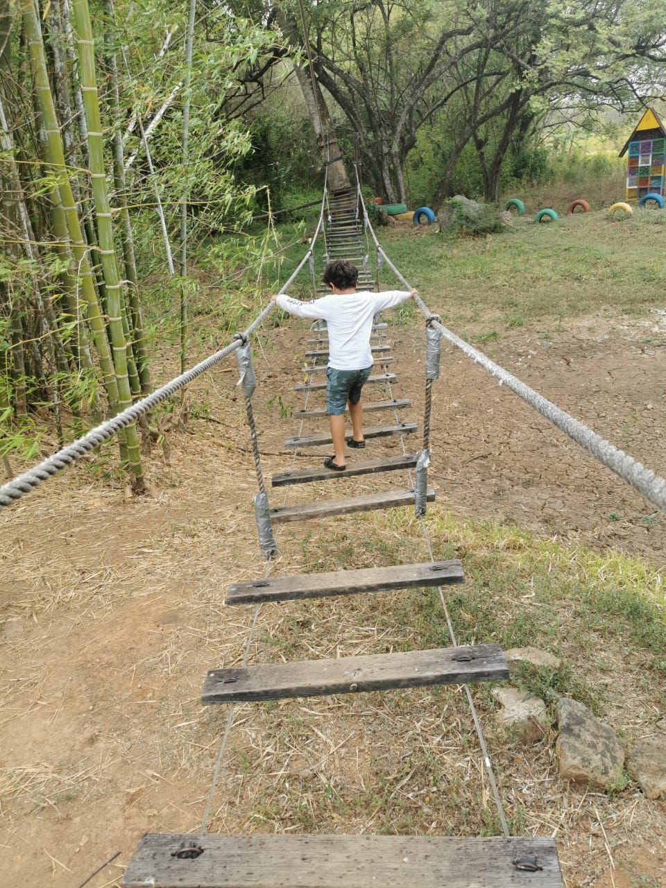 A child navigating a rope bridge in a natural setting with bamboo and trees.