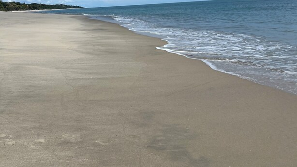A beach with a wide sandy shore and gentle waves. - olivias village room (Capellania)