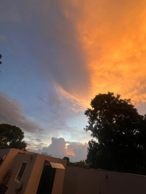 Niet-geclassificeerde afbeelding, 3 van 21, knop