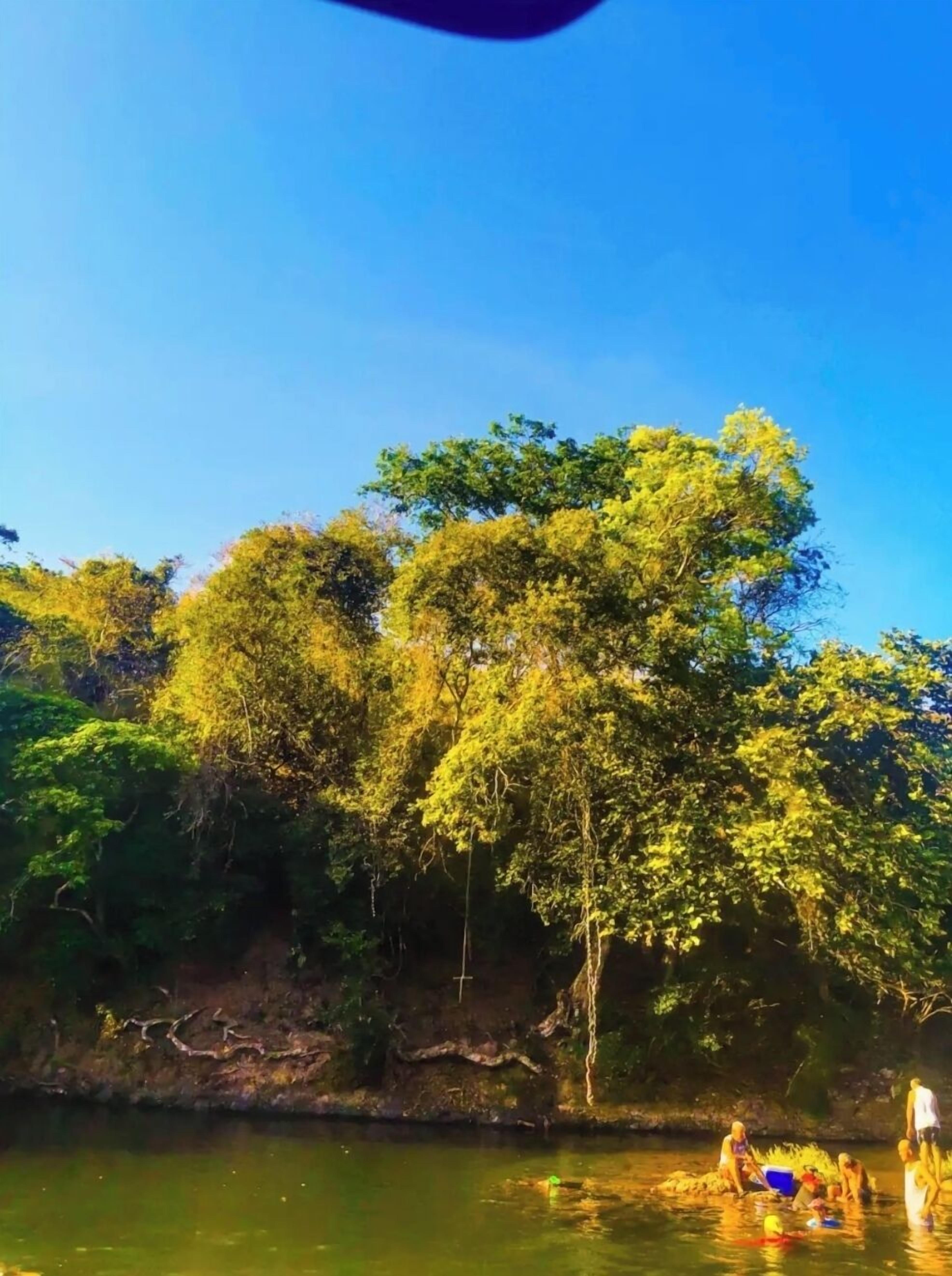 Un paysage naturel avec une rivière, des arbres et des personnes pratiquant des activités nautiques.