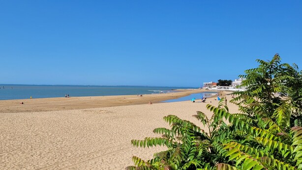 Une plage avec un ciel dégagé, un rivage sablonneux et quelques personnes.