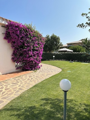 Ein gepflegter Garten mit einem Kiesweg, leuchtend violetten Blumen und blauem Himmel.