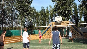 Campo da pallavolo all'aperto con recinzione in legno, alberi sullo sfondo e canestro da basket.