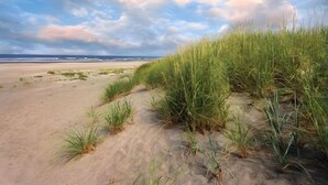 A sandy beach with dunes and grass, leading to the ocean. - Long Beach WA | Coastal Family Retreat | Pool + Hot Tub | 2BR (Long Beach)