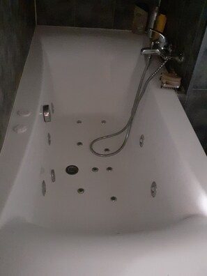 Jetted bath, hair dryer, bidet, towels - Studio near paris (Sceaux)