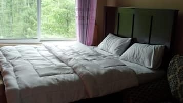 Soundproofing, iron/ironing board, free WiFi