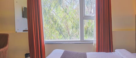 Habitación de hotel con cama, una silla, ventana con cortinas y televisor montado en la pared.