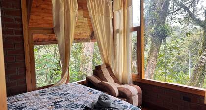 Rural cabin "El encanto de las aves" in Baños de Agua Santa.