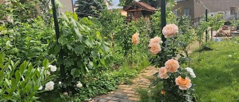 Terrain de lâhĂ©bergement